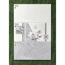 Gạch ốp tường giá rẻ 30x60 EC36048S