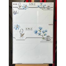 Gạch ốp tường giá rẻ 30x60 T36172