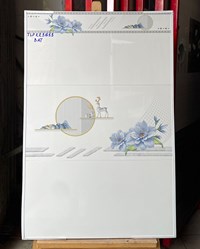 Gạch ốp tường giá rẻ 30x60 TLP-KR3613