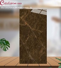 Gạch ốp tường lát nền Catalan 60x120 12025