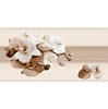 Gạch ốp tường Prime 30x60 8440