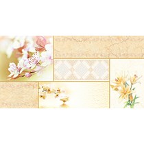Gạch ốp tường Prime 30x60 8574
