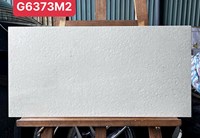 Gạch ốp tường Taicera 30x60 G6373M2