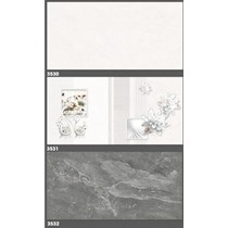 Gạch ốp tường Tasa 30x60 3530-3531-3532