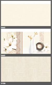 Gạch ốp tường Tasa 30x60 3662-3663