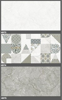 Gạch ốp tường Tasa 40x80 4873-4874-4875