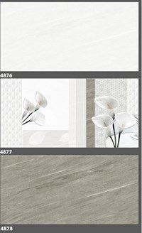 Gạch ốp tường Tasa 40x80 4876-4877-4878