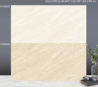 Gạch ốp tường TTC 30x60 EX36325-EX36326 đá