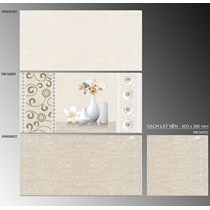 Gạch ốp tường TTC 30x60 WM36001-WM36002