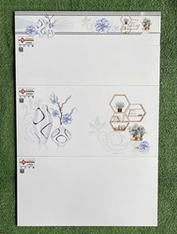 Gạch ốp tường Ý Mỹ 30x60 C36000