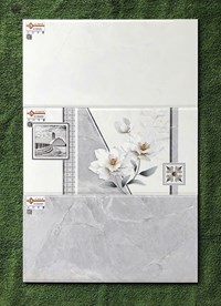 Gạch ốp tường Ý Mỹ 30x60 EC36048S