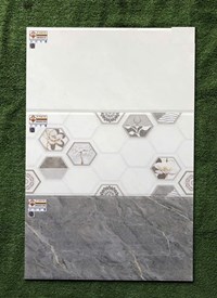 Gạch ốp tường Ý Mỹ 30x60 EM36021S