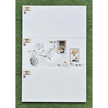 Gạch ốp tường Ý Mỹ 30x60 S36049R