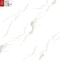 Gạch Prime 100x100 21002