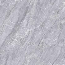 Gạch Prime 100x100 21006