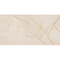 Gạch Prime 60x120 11381