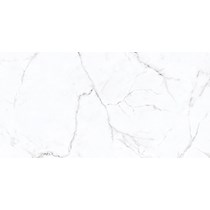 Gạch Prime 60x120 8304