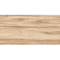 Gạch Prime 60x120 8317