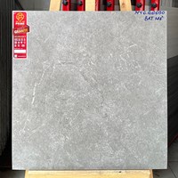 Gạch Prime 60x60 đá mờ NYG6600