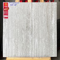 Gạch Prime 60x60 đá mờ NYG6602