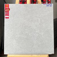 Gạch Prime 60x60 đá mờ NYG6603