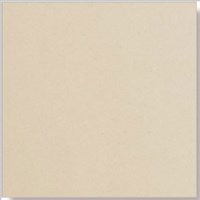 Gạch sân vườn 40x40 SB4000