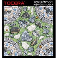 Gạch sân vườn 50x50 P57929