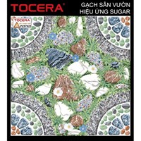 Gạch sân vườn 50x50 PZ57921