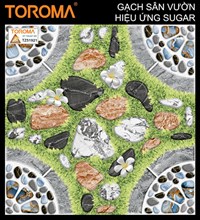 Gạch sân vườn 50x50 TZ51921