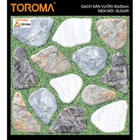 Gạch sân vườn 50x50 TZ51966
