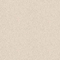 Gạch sân vườn Bạch Mã 40x40 HG4001