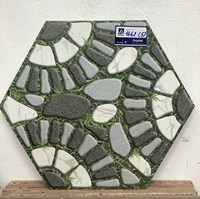 Gạch sân vườn lục giác 1662