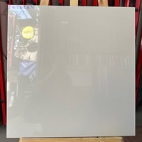 Gạch Taicera 2 da 60x60 P67615N