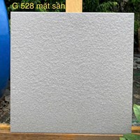 Gạch Taicera 30x30 đá đồng chất G528