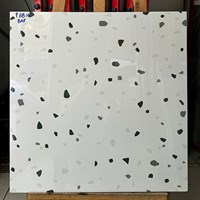 Gạch Terrazzo bóng kính giá rẻ 60x60 P6814