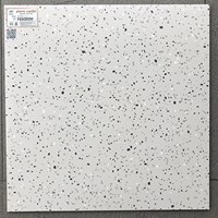 Gạch Tezzazo đá mài giá rẻ 60x60 F65005H