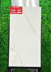Gạch Thạch bàn 30x60 mờ PGM36-0225