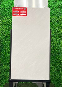 Gạch Thạch bàn 30x60 mờ PGM36-0226