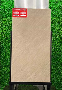 Gạch Thạch bàn 30x60 mờ PGM36-0229