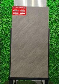 Gạch Thạch bàn 30x60 mờ PGM36-0230