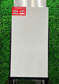 Gạch Thạch bàn 30x60 mờ PGM36-0231