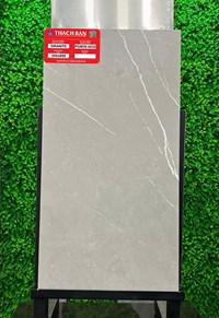 Gạch Thạch bàn 30x60 mờ PGM36-0232