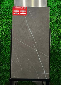 Gạch Thạch bàn 30x60 mờ PGM36-0233