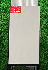 Gạch Thạch bàn 30x60 mờ PGM36-0240