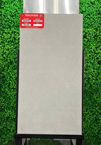 Gạch Thạch bàn 30x60 mờ PGM36-0241