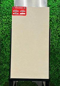 Gạch Thạch bàn 30x60 mờ PGM36-0243