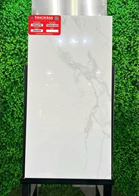 Gạch Thạch bàn 30x60 TGB36-0225