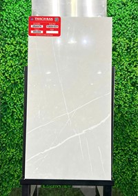Gạch Thạch bàn 30x60 TGB36-0231