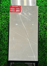 Gạch Thạch bàn 30x60 TGB36- 0232