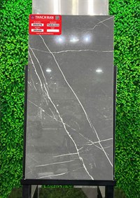 Gạch Thạch bàn 30x60 TGB36- 0233